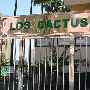 Cactus Playa del Inglés